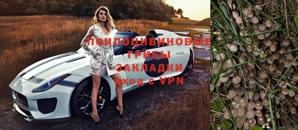 бошки Алексеевка