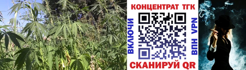мега как зайти  Артёмовск  Дистиллят ТГК концентрат  где купить наркотик 